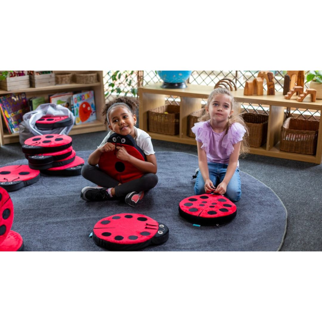 Ladybird counting cushions Early Years